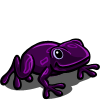 Purple Frog 紫色青蛙
