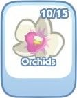 The Sims Social, Orchids