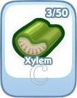 The Sims Social, Xylem