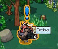 Turkeys Gone Wild