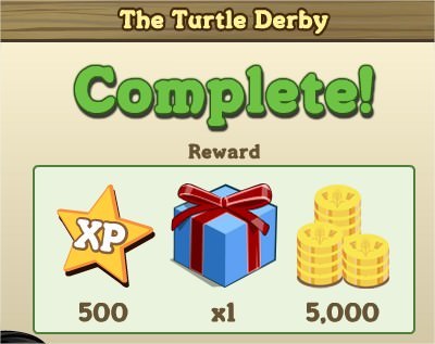The Turtle Derby