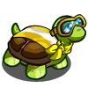 Yellow Turtle