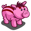 pink_racestripe_pig_icon