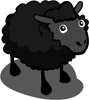 Black Sheep 黑綿羊