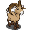 sheep_bighorn Big Horn Sheep.png