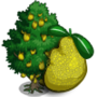Jackfruit Tree 菠蘿蜜樹