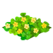 deco_clover_flowers.png
