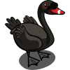 Black Swan 黑天鵝