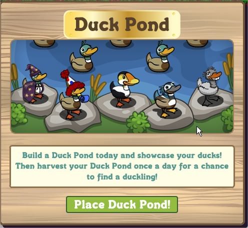 FarmVille, Duck Pond