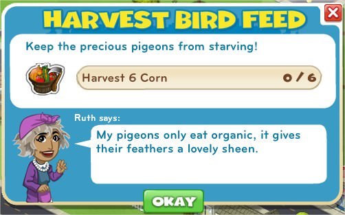 Harvest Bird Feed
