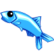 鯷魚(Anchovy)