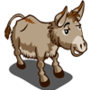 Mule 騾