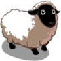 Sheep 綿羊