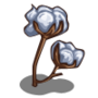 (Cotton Seed).png