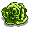 lettuce_bloom.png