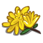 (Yellow  Flower).png