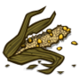 (Chewed Corn).png