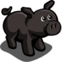 Black Pig 黑豬