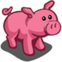 Hot Pink Pig 桃紅豬