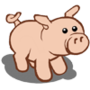 Pig 豬