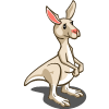 White Kangaroo 白袋鼠