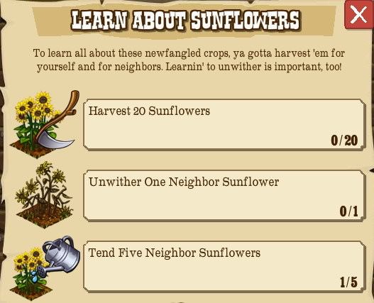 LEARN ABOUT SUNFLOWERS.jpg