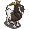 animal_goat_arapawa_icon(Arapawa Goat).png