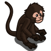 animal_spidermonkey_icon(Spider Monkey).png