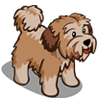 animal_terrier_icon.png