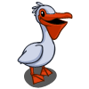 Pelican 鵜鶘