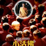 Movie, Little Buddha(義大利.法國.列支敦斯登公國.英國) / 小活佛(台), 電影海報, 台灣