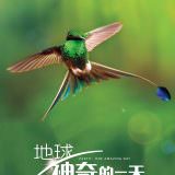 Movie, Earth: One Amazing Day(中國.英國) / 地球：奇蹟的一天(台) / 地球：神奇的一天(中), 電影海報, 中國