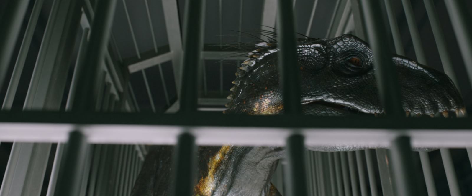 Movie, Jurassic World: Fallen Kingdom(美國) / 侏羅紀世界：殞落國度(台) / 侏罗纪世界2(中) / 侏羅紀世界：迷失國度(港), 電影劇照