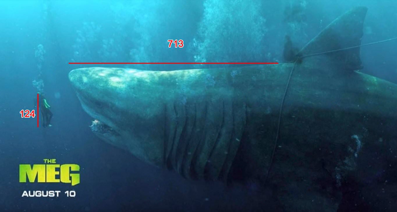 Movie, The Meg(美國.中國, 2018) / 巨齒鯊(台) / 巨齿鲨(中) / 極悍巨鯊(港), 科學考究
