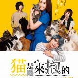 Movie, 猫は抱くもの(日本, 2018) / 貓是用來抱的(台灣) / The Cat in Their Arms(英文) / 猫是要抱着的(網路), 電影海報, 台灣