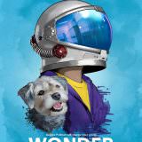 Movie, Wonder(美國, 2017年) / 奇蹟男孩(台灣.香港) / 奇迹男孩(中國), 電影海報, 美國
