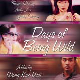 Movie, 阿飛正傳(香港, 1990) / 阿飛正傳(台灣) / 阿飞正传(中國) / Days of Being Wild(英文), 電影海報, 美國