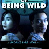 Movie, 阿飛正傳(香港, 1990) / 阿飛正傳(台灣) / 阿飞正传(中國) / Days of Being Wild(英文), 電影海報, 美國