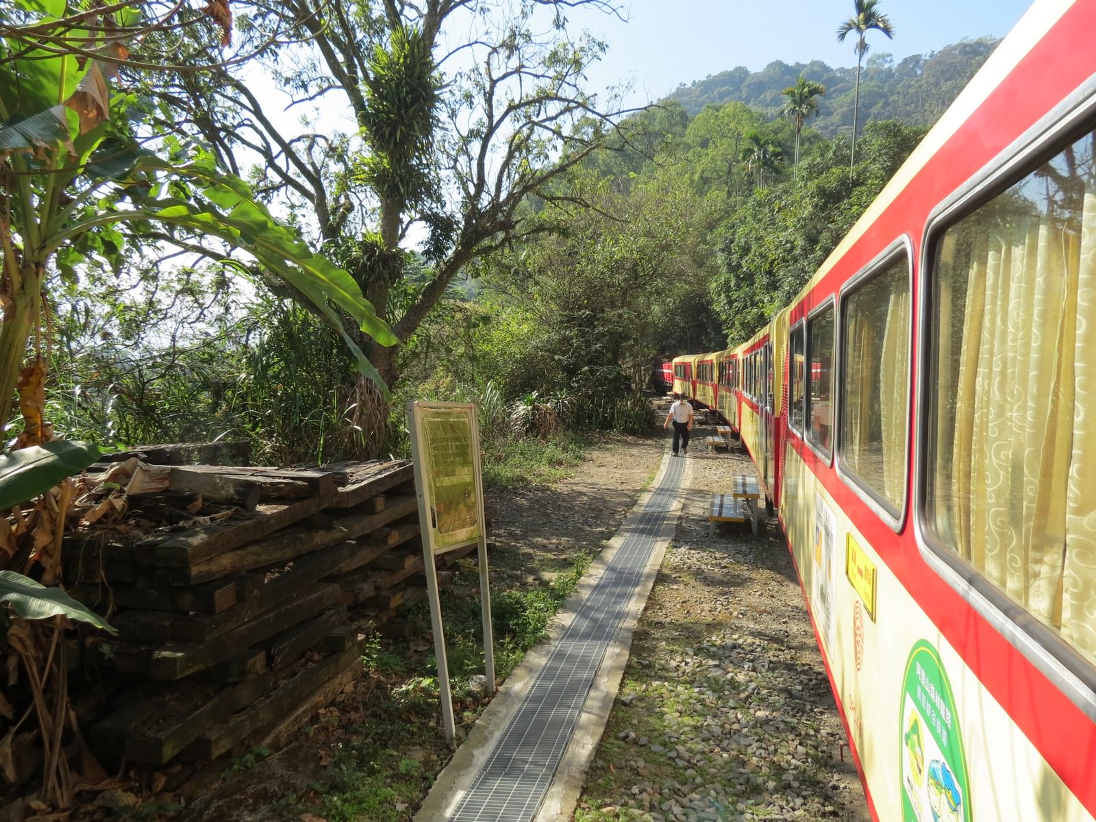 阿里山林業鐵路(森林小火車), 沿途風景